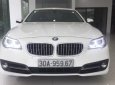 BMW 5 Series 2014 - Bán BMW 5 Series 520i 2014, màu trắng, nhập khẩu