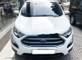 Ford EcoSport    2018 - Bán xe Ford EcoSport đời 2018, nhập khẩu nguyên chiếc 