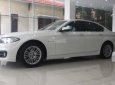 BMW 5 Series 2014 - Bán BMW 5 Series 520i 2014, màu trắng, nhập khẩu