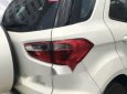 Ford EcoSport  Titanium  2016 - Bán xe Ford Ecosport sx 2016, trắng
