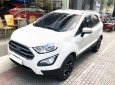 Ford EcoSport    2018 - Bán xe Ford EcoSport đời 2018, nhập khẩu nguyên chiếc 