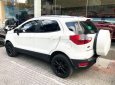 Ford EcoSport    2018 - Bán xe Ford EcoSport đời 2018, nhập khẩu nguyên chiếc 