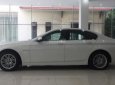 BMW 5 Series 2014 - Bán BMW 5 Series 520i 2014, màu trắng, nhập khẩu