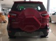 Ford EcoSport Cũ   1.5MT 2018 - Xe Cũ Ford EcoSport 1.5MT 2018