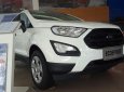 Ford EcoSport Mới   Ambient AT 2018 - Xe Mới Ford EcoSport Ambient AT 2018