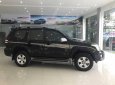 Toyota Prado Cũ   VX 4.0 AT 2004 - Xe Cũ Toyota Prado VX 4.0 AT 2004