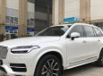 Volvo XC90   AT  2016 - Cần bán Volvo XC90 AT đời 2016, màu trắng, xe nhập như mới