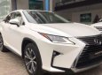 Lexus RX   AT  2016 - Bán Lexus RX AT đời 2016, xe nhập