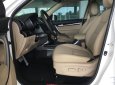 Kia Sorento 2018 - Bán ô tô Kia Sorento năm sản xuất 2018, màu trắng, giá 799tr rẻ nhất Bến Tre 