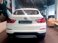 BMW X4 Mới   XDrive20i 2018 - Xe Mới BMW X4 XDrive20i 2018