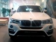 BMW X4 Mới   XDrive20i 2018 - Xe Mới BMW X4 XDrive20i 2018