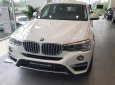 BMW X4 Mới   XDrive20i 2017 - Xe Mới BMW X4 XDrive20i 2017