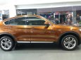 BMW X4 Mới   XDrive20i 2018 - Xe Mới BMW X4 XDrive20i 2018