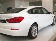 BMW 528i Mới  5  GT 2018 - Xe Mới BMW 5 528i GT 2018