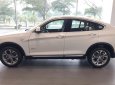 BMW X4 Mới   XDrive20i 2017 - Xe Mới BMW X4 XDrive20i 2017