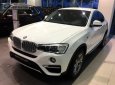 BMW X4 Mới   XDrive20i 2.0 Turbo (Chỉ Cần 500 Triệu Trả Trước) 2018 - Xe Mới BMW X4 XDrive20i 2.0 Turbo (Chỉ Cần 500 Triệu Trả Trước) 2018