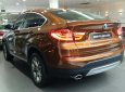 BMW X4 Mới   XDrive20i 2018 - Xe Mới BMW X4 XDrive20i 2018