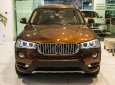 BMW X3 Mới   XDrive20i 2018 - Xe Mới BMW X3 XDrive20i 2018