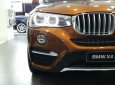 BMW X4 Mới   XDrive20i 2018 - Xe Mới BMW X4 XDrive20i 2018