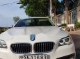 BMW 5 Series   520i 2014 - Bán BMW 5 Series 520i sản xuất năm 2014, màu trắng, nhập khẩu  