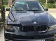 BMW X5 2005 - Bán xe BMW X5 năm sản xuất 2005, màu đen, xe nhập, giá tốt