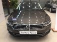 Volkswagen Passat GP 2017 - Bán Passat GP màu nâu, nhập khẩu Đức, giao xe ngay hỗ trợ vay 80%, Volkswagen Đà Nẵng