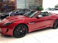 Jaguar F Type 2017 - Bán Jaguar F-Type - Mẫu Convertible đầy tinh tế từ Anh Quốc