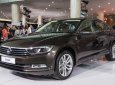 Volkswagen Passat GP 2017 - Bán Passat GP màu nâu, nhập khẩu Đức, giao xe ngay hỗ trợ vay 80%, Volkswagen Đà Nẵng