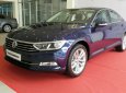 Volkswagen Passat Bluemotion 2017 - Bán xe Volkswagen Passat Bluemotion Sedan D xe Đức nhập khẩu chính hãng mới 100% giá rẻ. LH 0933 365 188