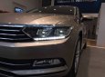 Volkswagen Passat GP 2017 - Bán xe Volkswagen Passat GP Sedan hạng D 5 Chỗ, xe Đức nhập khẩu chính hãng mới 100% giá tốt. Lh ngay 0933 365 188