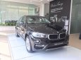 BMW X6 Mới   XDrive30i 2018 - Xe Mới BMW X6 XDrive30i 2018