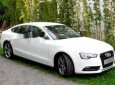 Audi A5 2013 - Bán Audi A5 sản xuất 2013, màu trắng