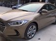 Hyundai Elantra 2.0 at 2018 - Cần bán xe Hyundai Elantra 2.0 AT đời 2018, màu nâu