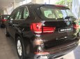 BMW X5 Mới   XDrive35i 2018 - Xe Mới BMW X5 XDrive35i 2018