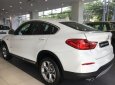 BMW X4 Mới   XDriver20i 2018 - Xe Mới BMW X4 XDriver20i 2018