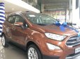 Ford EcoSport   Titanium  2018 - Bán xe Ford Ecosport Titanium 2018, tặng bảo hiểm, bệ bước