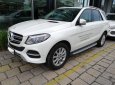 Mercedes-Benz GLE-Class GLE400  2016 - Cần bán Mercedes GLE400 đã qua sử dụng chính hãng