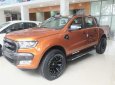 Ford Ranger Wildtrak 2018 - Bán Ford Ranger 2018, đã có sẵn tại Showroom, cho vay 90-100% giao xe ngay nhận quà hấp dẫn