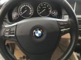 BMW 5 Series  520i 2.0 AT  2015 - Bán xe BMW 520i 2.0 AT sản xuất năm 2015, màu trắng, nhập khẩu nguyên chiếc