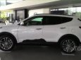 Hyundai Santa Fe 2018 - Bán xe Hyundai Santa Fe 2018, màu trắng