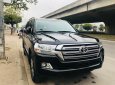 Toyota Land Cruiser VX 2015 - Bán Toyota Land Cruiser VX model 2016, xe chạy 3 vạn xịn, biển HN