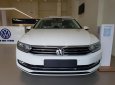 Volkswagen Passat Bluemotion 2017 - Bán xe Volkswagen Passat Bluemotion đời 2017, màu trắng, nhập khẩu nguyên chiếc. LH 0901 933 522 (Vy)