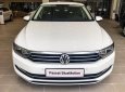 Volkswagen Passat Bluemotion 2017 - Bán xe Volkswagen Passat Bluemotion đời 2017, màu trắng, nhập khẩu nguyên chiếc. LH 0901 933 522 (Vy)