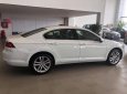 Volkswagen Passat Bluemotion 2017 - Bán xe Volkswagen Passat Bluemotion đời 2017, màu trắng, nhập khẩu nguyên chiếc. LH 0901 933 522 (Vy)