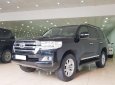 Toyota Land Cruiser VX 2015 - Bán Toyota Land Cruiser Vx sản xuất 2015, đăng ký tên cá nhân năm 2016