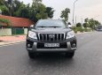 Toyota Prado TXL 2010 - Bán Toyota Prado TXL sản xuất năm 2010, màu đen, xe nhập