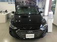 Hyundai Elantra 2018 - Cần bán xe Elantra 2.0L màu đen, số tự động với giá bán tốt nhất TPHCM