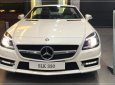 Mercedes-Benz SLK class SLK 350 2017 - Bán Mercedes Benz SLK 350 đời 2017 - Giá đặc biệt - Nhiều ưu đãi