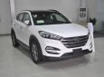 Hyundai Tucson 2.0AT 2018 - Bán xe Hyundai Tucson 2.0AT sản xuất 2018, màu trắng  