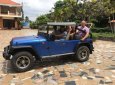 Jeep Wrangler   1980 - Cần bán lại xe Jeep Wrangler đời 1980, màu xanh lam giá cạnh tranh